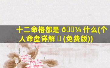 十二命格都是 🐼 什么(个人命盘详解 ☘ (免费版))